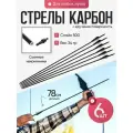 Стрелы REZERV, для лука, карбоновые, крученые, длина 30, 6 шт
