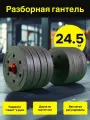 Гантель-трансформер пластиковая разборная 24,5кг, Без переходника