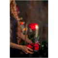 Красная роза в колбе Премиум в подарочной коробке с вау эффектом/26 см/Живет 5 лет!