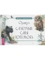 Оракул Светлые сны тотемов (брошюра)