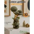 Декоративное Дерево настольное из исландского мха Цетрарии