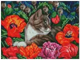 Набор Белоснежка #609-ST-S Кот в маках, Алмазная Мозаика, 30 х 40 см