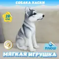 Мягкая игрушка Собака Хаски для девочек и мальчиков / Плюшевая Собачка для детей KiDWoW серый 28см