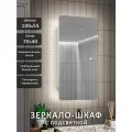 Зеркало-шкаф Палантин 100*55 с нейтральной LED-подсветкой, универсальный