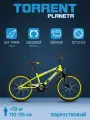 Детский велосипед TORRENT Planeta (дорожный, 1 скорость, рама сталь, колеса 20)