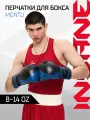 Перчатки боксерские INSANE MONTU IN23-BG500, ПУ, синий, 12 oz