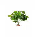 Декорация для террариумов LUCKY REPTILE Golden Pothos, 30см (Германия)