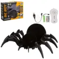 Робот-паук Beboy на пульте р у, подвижные лапки, знает 25 фраз, рассказывает факты о пауках, выпус