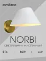 Светильник настенный EVOLUCE цвет Белый коллекция NORBI в стиле Modern цоколь E14 ламп 1х60W, SLE1253-311-01