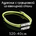 Украшение для собак и кошек. Адресник из ювелирной стали 30мм с гравировкой на шнурке. Шнур паракорд 4мм. Салатовый S
