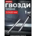 Гвозди толевые 2,0х20 мм ГОСТ 4029-63 STARFIX 1 кг (SMP4-42575-1)