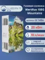Газовый проточный водонагреватель WertRus 10EG горы W1405 колонка газовая с автоматическим электрическим поджигом