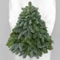 Новогодняя Ёлка Мегацвет24, натуральная хвоя без декора, высота 25 см