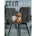 Стулья кухонные Фред, 2 шт, велюр антикоготь, темно-серый