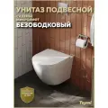 Унитаз подвесной безободковый с быстросъемным сиденьем микролифт Teymi Lina S T40102