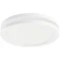 Светильник Lightstar Maturo 070654, LED белый белый 1 шт. теплый белый 4000 K 5 Вт