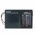 Портативный Радиоприемник Tecsun R-202P, FM, MW, TV, от Батареек
