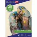 Папка для пастели А3, 20л Brauberg (200 г/кв. м, тонированная бумага (слоновая кость), Гознак Скорлупа) (126304), 15шт.