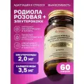 БАД Uverity Родиола розовая с элеутерококком, капсулы, 60 шт, курс на 2 месяца