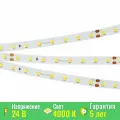 Светодиодная лента Arlight RT-A80-8mm 24V Day4000 (6 W/m, IP20, 2835, 50m) (Arlight, высок. эфф.150 лм/Вт) 024524(2)