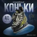 Коньки хоккейные Winter Star Advanced Way, размер 40, цвет черный, желтый