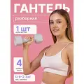 Гантель Разборная MAXISCOO FIT, 2,27кг