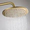 Тропическая лейка из латуни 300х300 HansenPro HL48-1D цвет матовое золото