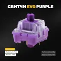 Тактильные переключатели (свитчи) для клавиатуры EVO PURPLE 110 шт, тактильные, 3-pin, 42 грамм