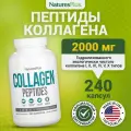 Natures Plus Collagen Peptides, Гидролизованный бычий коллаген 6 типов для суставов и связок, 240 капсул, Животный и морской коллаген для иммунитета, волос, кожи и ногтей