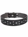 Ошейник для больших и средних собак со стразами кожаный