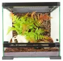 Террариум PetPetZone 30х30х30 см (паучатник)