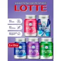 Жевательная резинка без сахара XYLITOL набор 5 штук, Lotte