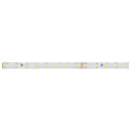 024526 Светодиодная Лента RT 2-5000-50m 24V Warm2700 (2835, 80 LED/m, LUX) (Arlight, 6 Вт/м, IP20)