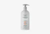 Шампунь для окрашенных волос BYPHASSE HAIR PRO COLOR PROTECT 750 мл