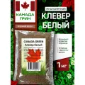 Клевер белый семена, ползучий низкорослый 1кг