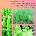 Набор отборных семян 3в1 Укроп, Кориандр (Кинза), Горох, 30гр, для дачи