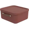 Ящик Rotho Maloja для хранения вещей, пластиковый с крышкой и ручкой, терракот, 20 л (1055002104)
