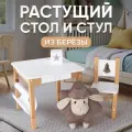 Детский стол и стул с ящиком для малышей от года растущий из березы