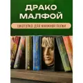 Book Nook, вставка-шкатулка между книг Драко Малфой из Гарри Поттера