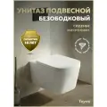 Унитаз подвесной торнадо безободковый с быстросъемным сиденьем микролифт Teymi Helmi PP Vortex T40313
