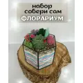 Флорариум сделай сам, с вазой, набор для творчества