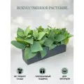 Композиция из искусственных цветов в деревянном ящике, ПоДар. Ок Home