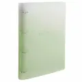 Тетрадь на кольцах большая 305х235 мм А4, 120 л, пластик, с разделителями, BRAUBERG, Зеленый, 404625, в комплекте 1шт