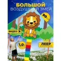 Воздушный змей Лео Шевченко 90 см большой детский и взрослый