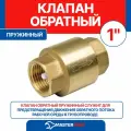 Клапан обратный 1, MP-У