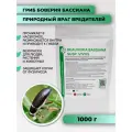 Враг вредителей Боверия Бассиана 1кг