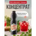 Основа Torry Брусника-клюква, для коктейлей, напитков, десертов, пластиковая бутылка, 1 кг