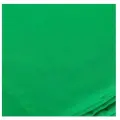 Фон Greenbean хромакей Field 2.4 х 5.0 Green