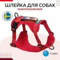 Шлейка для собак анатомическая со светоотражающими элементами, красная, размер L