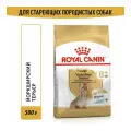 ROYAL CANIN YORKSHIRE TERRIER ADULT 8+ 2 шт по 500 г корм для собак породы йоркширский терьер в возрасте от 8 лет